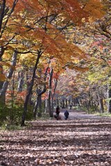 昨年訪れた青葉公園