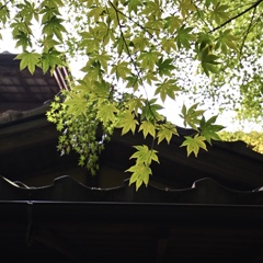 再訪を誓う