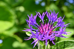 不思議な自然の造形