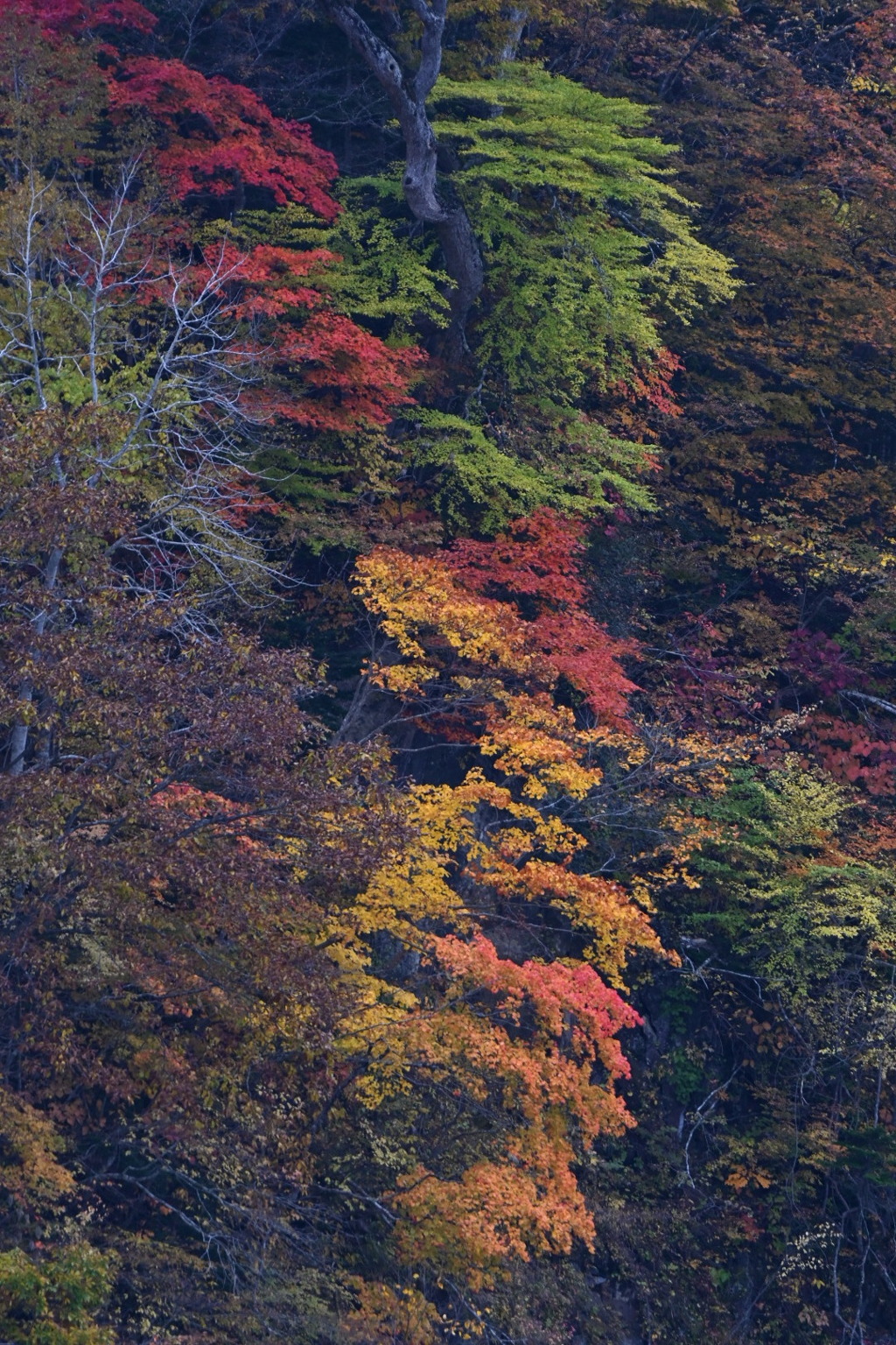 錦秋、漁川ダム
