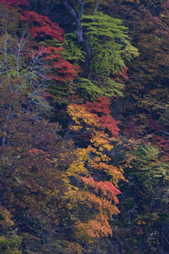 錦秋、漁川ダム