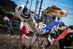 見付地区のこいのぼり