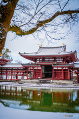 平等院鳳凰堂