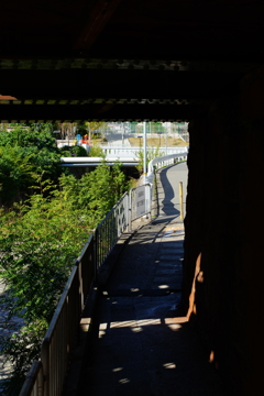 作例⑬ Canon FD55mmF1.2SSC ASPHELICAL