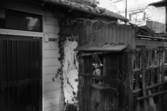 年期入ってます