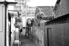 路地裏が俺を呼んでいる