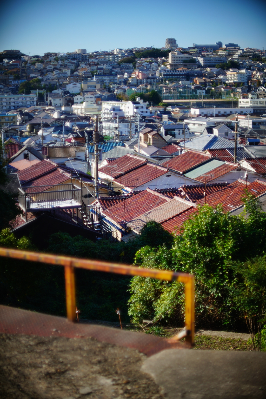 Canon FD55mmf1.2 試写③