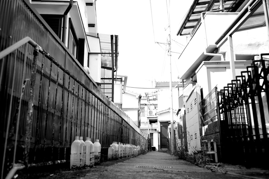 ペットボトルｽﾞ ZEISS Opton Biogon 35mm f2.8