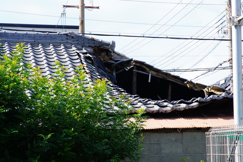風通しの良い家