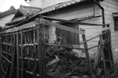 年期入ってます 別アングル Canon 35mm f2 L39