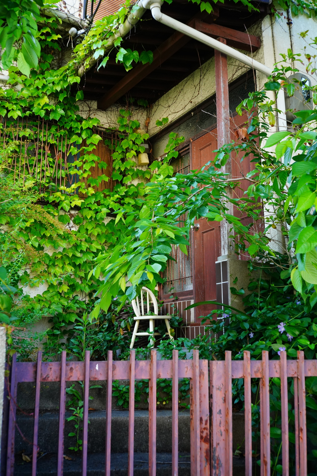空き家  ZEISS Opton Biogon 35mm f2.8