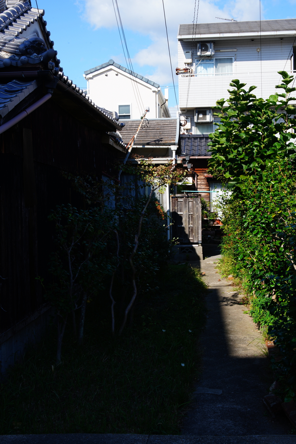 ちょっと木塀の有る民家