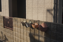 Canon serenar 50mm f3.5 再テスト f8にて撮影