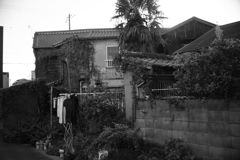 酒屋の裏手 別バージョン Canon 35mm f2 L39