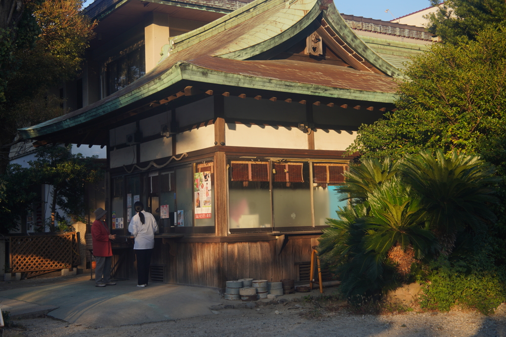 セレナー 50mm f3.5 作例③