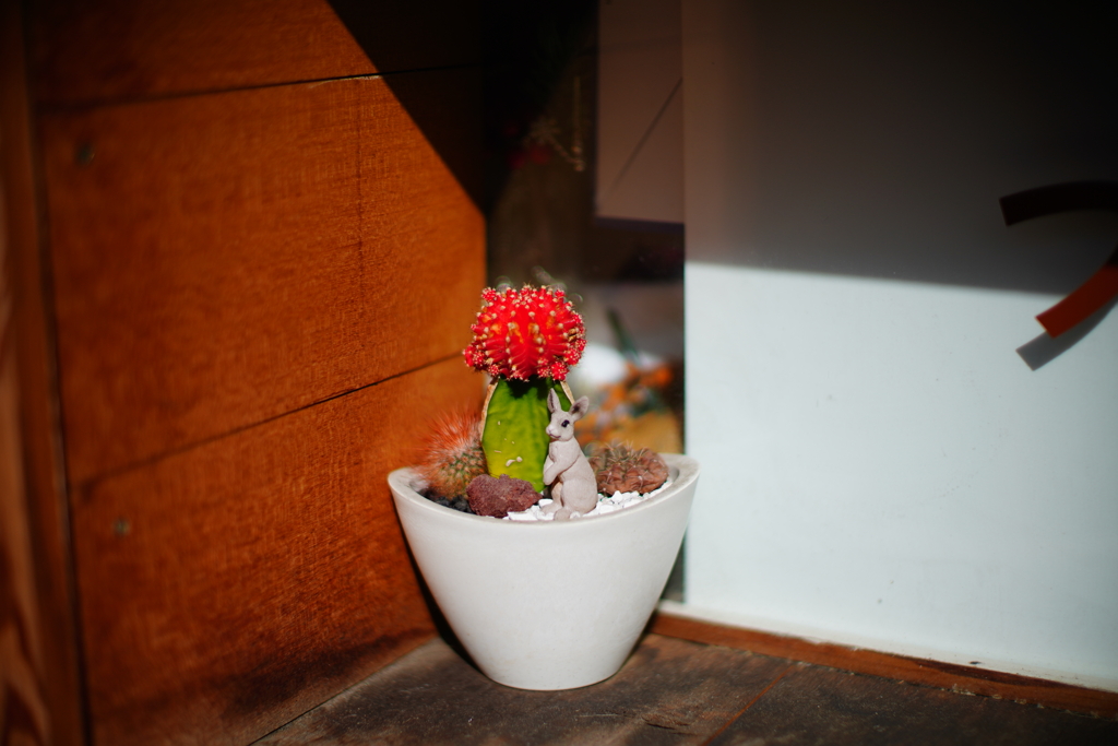 作例③ Canon 55mm f1.2SSC ASPHELICAL 解放