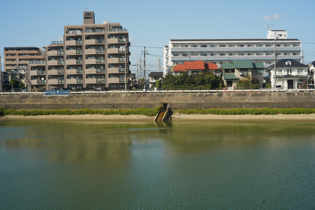 Summicron 50mm f2 L39 遠景によるテスト