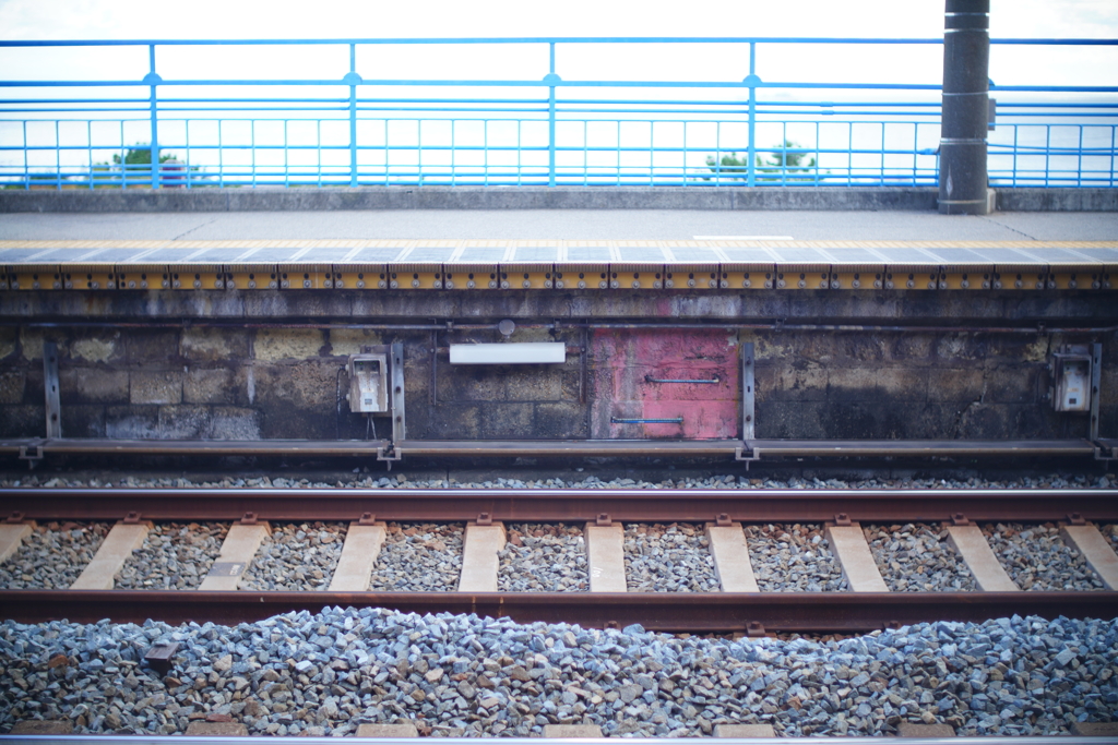 作例① Canon 50mm f1.2SSC ASPHELICAL 解放