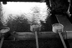 セレナー 50mm f3.5 作例①