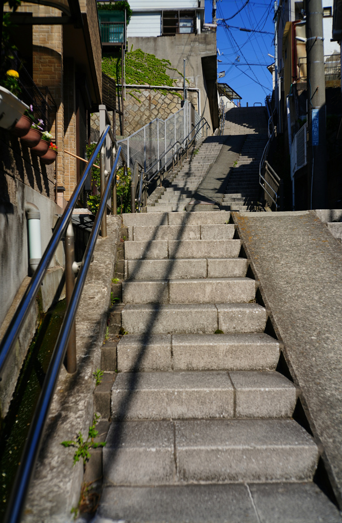 階段降りてみた！ ZEISS Opton Biogon 35mm f2.8