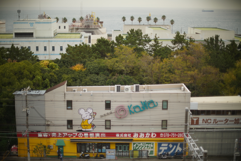 MC ROKKOR-PG 58mm f1.2 ①