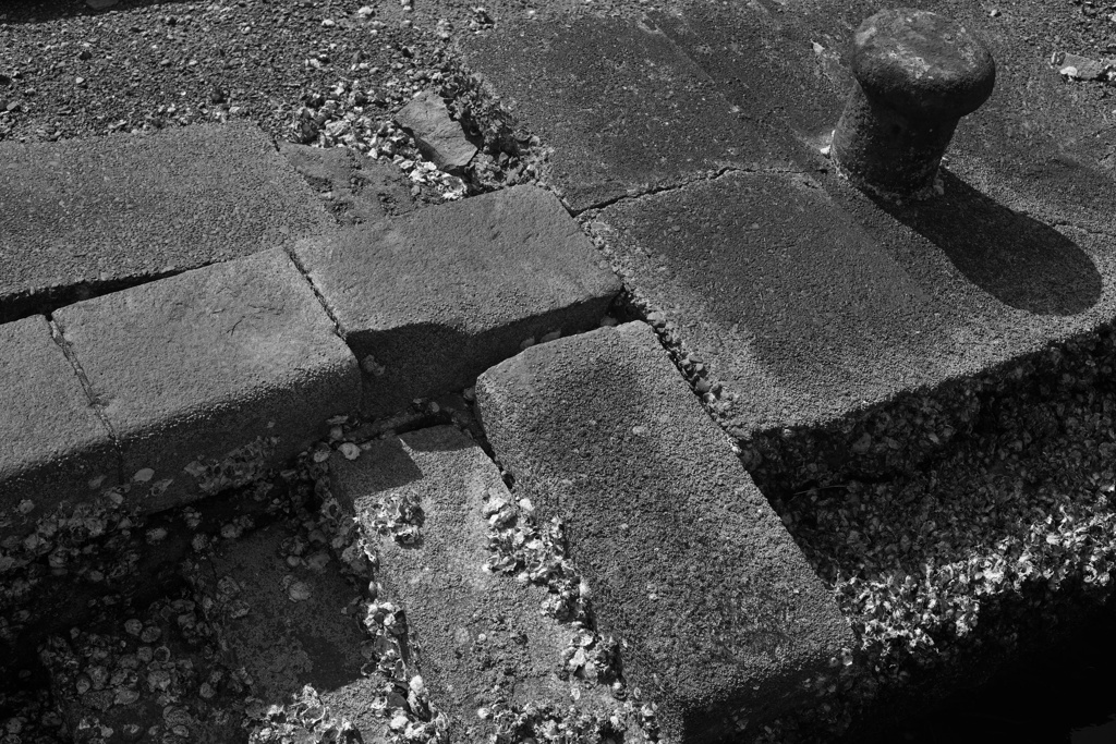 As Time Goes By ２  Topcor S f5cm 1:2 L39