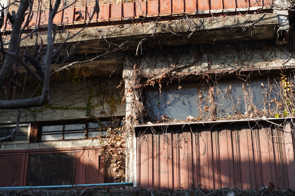 空き家の質感  Nikkor H-Auto 50mm f2