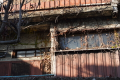 空き家の質感  Nikkor H-Auto 50mm f2