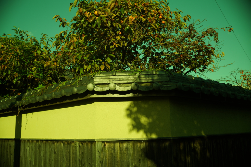 旧家の塀   Canon 35mm f2 Lマウント