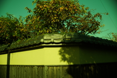 旧家の塀   Canon 35mm f2 Lマウント