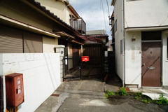 赤い誘惑