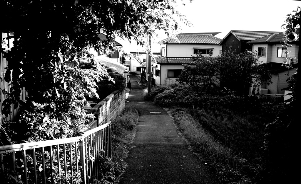 海へ下る道  Canon 35mm f2 Lマウント