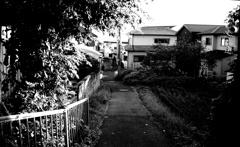 海へ下る道  Canon 35mm f2 Lマウント