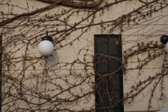 壁面描写②   Nikkor H-Auto 50mm f2