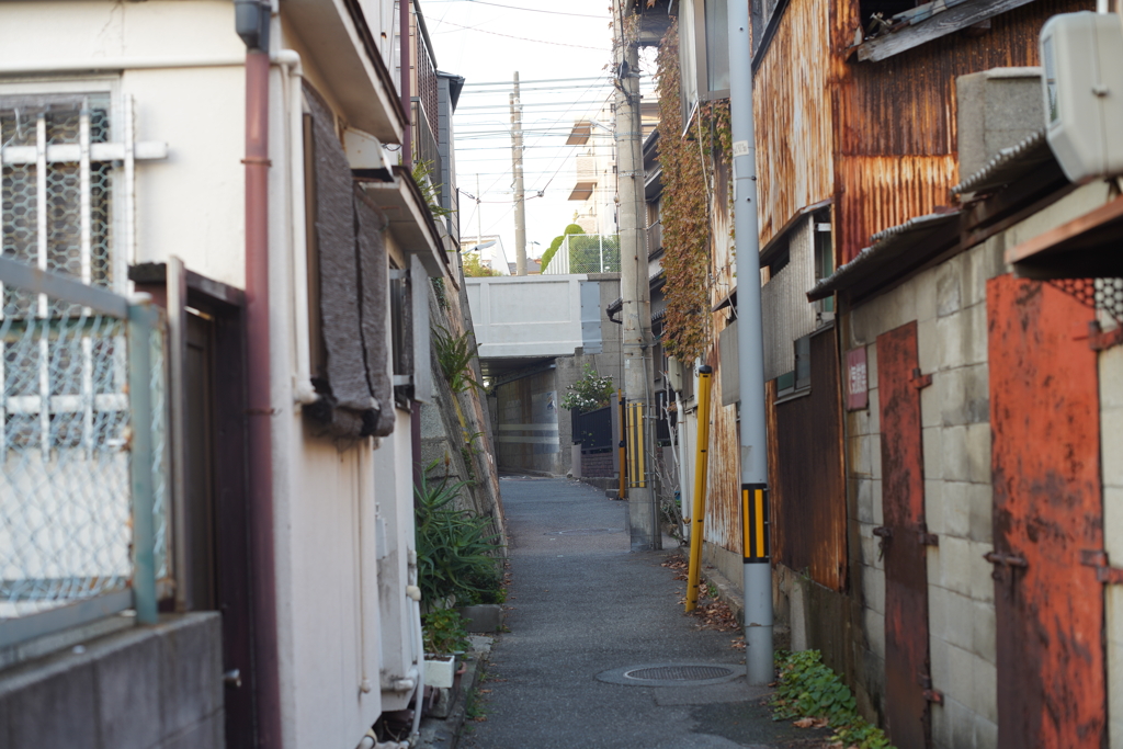 MC ROKKOR-PG 58mm f1.2 ④