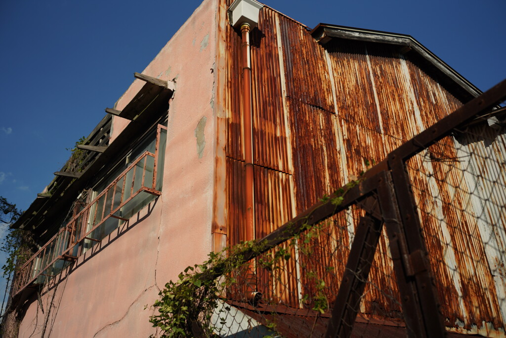 S用W-NIKKOR-C 3.5cm f1.8
