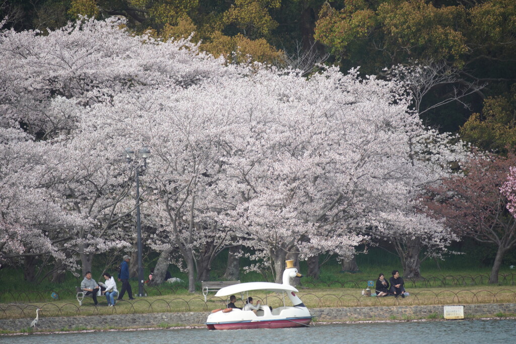 爛漫