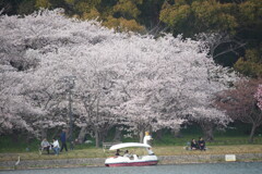 爛漫
