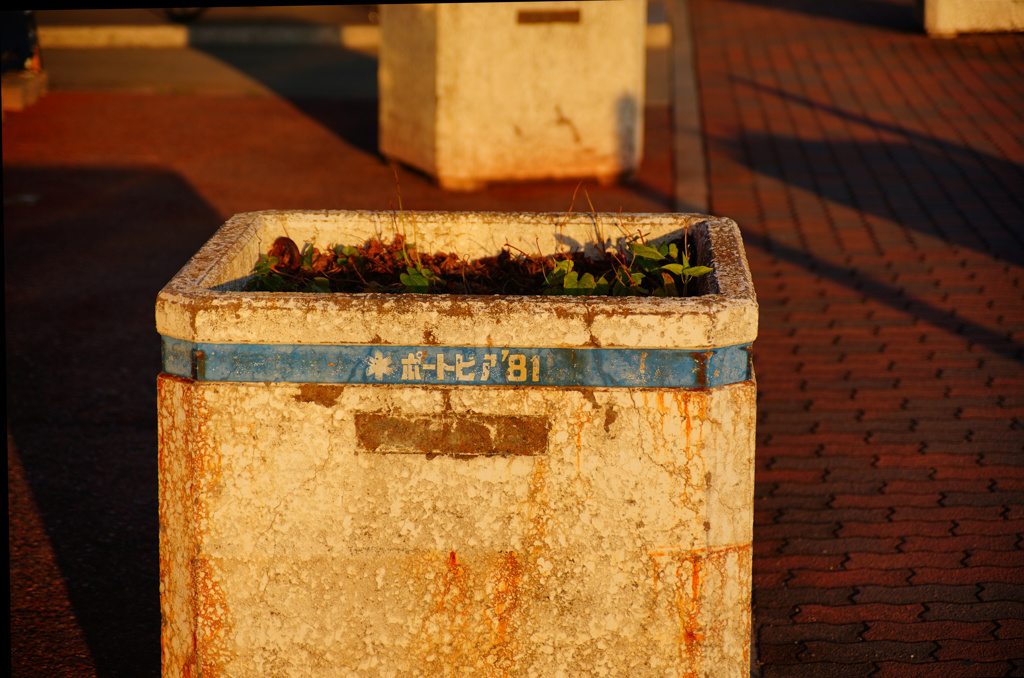 ポートピア８１