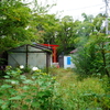 遊休地経由の鳥居