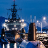 アレイからすこじま 夜景