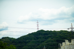 １本目　全景　ELMARIT R 180mm f2.8 TYPEll