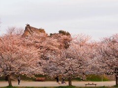 夕暮れに染まる