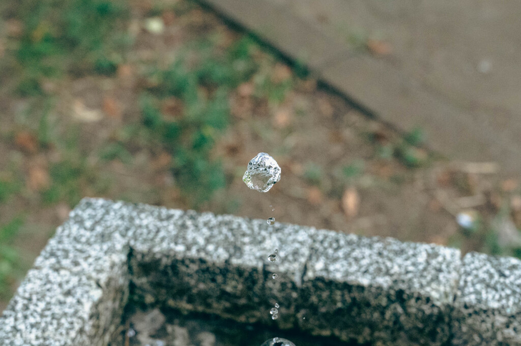 DSC_2205