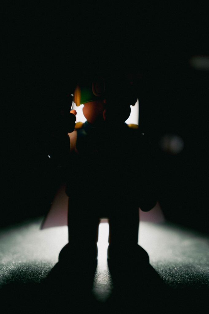 DSC_3181