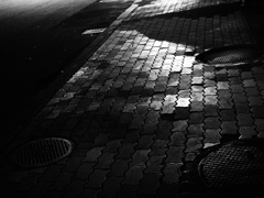 307B6106-0E98-4950-A233-AF2EDCF691ED
