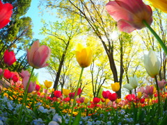 107D3F4A-C78A-4D68-B2DA-427F9AA4F6BE