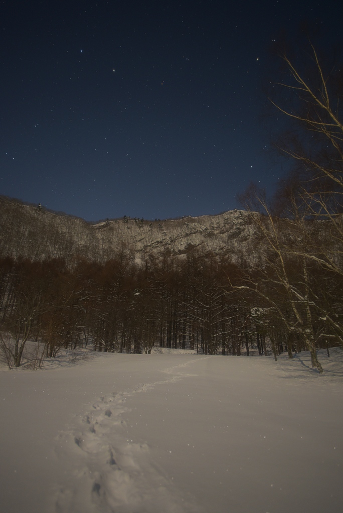 真夜中の雪道