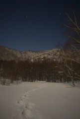 真夜中の雪道