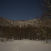 真夜中の雪道